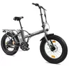 cumpără Bicicletă Sharp BK-FD06E-N în Chișinău 