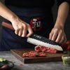 cumpără Cuțit Takumi Yuki Santoku Knife (TK-PM8S-RS) în Chișinău 