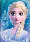 cumpără Puzzle Trefl 56022 Puzzles miniMaxi: Friendship in the Frozen Land/Disney Frozen 2 în Chișinău 