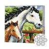 купить Картина по номерам Art Gallery BJ483 Mozaic cu diamante 20x20cm Cal si manz в Кишинёве 