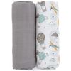 купить Аксессуар для пеленания Petite&Mars 417361 Set 2 paturele de muselina din bambus Misty Grey Planes, 120x120cm в Кишинёве 