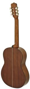 купить Гитара Aria Classic A-10 N в Кишинёве 