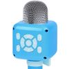 купить Музыкальная игрушка Essa 3002 Microfon karaoke wireless cu Bluetooth (în asort.) в Кишинёве 