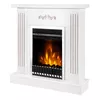 купить Камин электрический ArtFlame Smile white & Gala silver в Кишинёве 