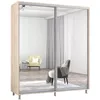 купить Шкаф Mobildor-Lux Арон с раздвижными зеркальными дверцами (210x60x240H см) Sonoma в Кишинёве 