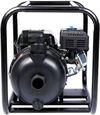 cumpără Pompă Sequoia SPP600C 600l/min în Chișinău 
