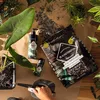 купить Субстрат для растений Lechuza Blackstonepon, 12l в Кишинёве 