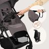 купить Детская коляска Lionelo Tansi Beige Taupe в Кишинёве 
