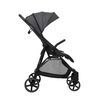 купить Детская коляска Kikka Boo 31001030180 Carucior de plimbare Alexa Dark Grey в Кишинёве 