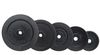 Disc metal 10 kg, d=30 mm Top Sport 22350 (4296) inSPORTline 