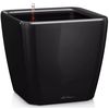 купить Цветочный горшок Lechuza Quadro Premium 43 LS, Black в Кишинёве 