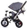 cumpără Bicicletă-cărucior Chipolino Bolide TRKBLD02301GT Graphite în Chișinău 