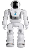 cumpără Robot YCOO SILV 88071 Робот Program A Bot X în Chișinău 