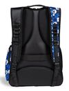 купить Рюкзак спортивный Arena 010235-102 All Set Backpack 45L AO в Кишинёве 
