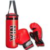cumpără Articol de box Enero Junior Boxing Set (1017631) în Chișinău 