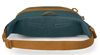 купить Поясная сумка Osprey Daylite Waist torrent blue hip (810165743335) в Кишинёве 