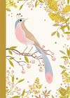 купить Djeco Lovely Paper 2 Small Notebooks (Bird) в Кишинёве 