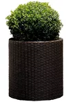 купить Садовая фигура Keter Cylinder Planter L Whiskey brown (223947) в Кишинёве 