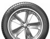 купить Шина Sailun 195/65 R15 Arctic 91T в Кишинёве 