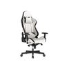 купить Игровое кресло Lumi Premium Gaming Chair CH06-36 with Headrest & Lumbar Support , Black/White, PVC Leather, 2D Armrest, Steel Frame, 350mm Nylon Plastic Base, PU Caster, 80mm Class 4 Gas Lift, Weight Capacity 180 Kg XMAS в Кишинёве 