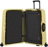 купить Чемодан Samsonite Magnum Eco (139848/1661) в Кишинёве 