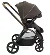cumpără Сărucior pentru copii Chicco 8702632 Mysa, Bronze Lizard Re Lux, Editie limitata , 0+ luni în Chișinău 