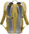 купить Рюкзак спортивный Deuter Stepout 12 kelp-nori в Кишинёве 