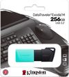 cumpără USB flash memorie Kingston DTXS/256GB în Chișinău 