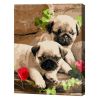 купить Картина по номерам Art Gallery EX6903 Micii mopsi 30x40cm Eco в Кишинёве 