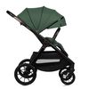 купить Детская коляска Lionelo Carucior 2in1 Layla Green Forest в Кишинёве 