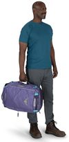 купить Сумка дорожная Osprey Transporter 40 Euphoria Purple/Purple в Кишинёве 