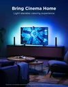 купить Декоративное освещение Govee Flow Plus Light Bars, Wi-Fi + BT (H6056311) в Кишинёве 