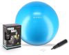 купить Мяч HMS 5633 Minge gimnastica d=75cm cu pompa Azure YB01 (17-42-166) в Кишинёве 