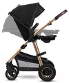 купить Детская коляска Lionelo Amber 2in1 Black Onyx в Кишинёве 
