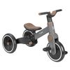 cumpără Bicicletă-cărucior Kikka Boo 31006020164 Tricicleta 5in1 Flash Grey în Chișinău 