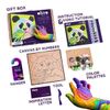 cumpără Set de creație Okto 20000 Pictură pe numere 3D cu plastilină ușoară 29x29сm, Panda în Chișinău 