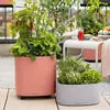 купить Цветочный горшок Lechuza Pila Planter, Coral Red в Кишинёве 
