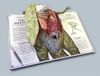 купить Tyrannosaurus rex: A Pop-Up Guide to Anatomy (Pop Up Book) в Кишинёве 
