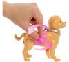 купить Кукла Barbie JJB46 Plimbarea cu cățelușul в Кишинёве 