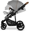 купить Детская коляска Lionelo Carucior 2in1 Mari Tour Grey Stone в Кишинёве 