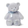 cumpără Jucărie de pluș Baby Gund 6048628 My 1st Teddy Blue 45cm în Chișinău 