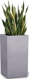 купить Цветочный горшок Lechuza Canto Stone 30 High, Stone Gray в Кишинёве 