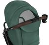 купить Детская коляска Lionelo Ingrid Green Emerald в Кишинёве 