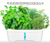 купить Смарт огород Green Grow Hydroponics growing system 6 pods, White в Кишинёве 