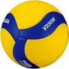 купить Мяч Mikasa 2451 Minge volei V330W в Кишинёве 