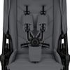 купить Детская коляска Lionelo Carucior 2in1 Carmine Grey Stone в Кишинёве 