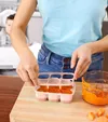cumpără Container alimentare Skip Hop 252802 Recipiente pentru congelare în Chișinău 