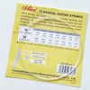 cumpără Coarda pentru instrument muzical Alice CG-ST A106 classical guitar strings în Chișinău 