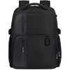 купить Рюкзак городской Samsonite Biz2go Underseat S Negru (158708/1041) в Кишинёве 