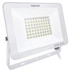 cumpără Reflector Toshiba 00173314 Projector LED IP65 50W 4000K (Alb) în Chișinău 